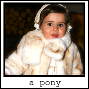 A Pony